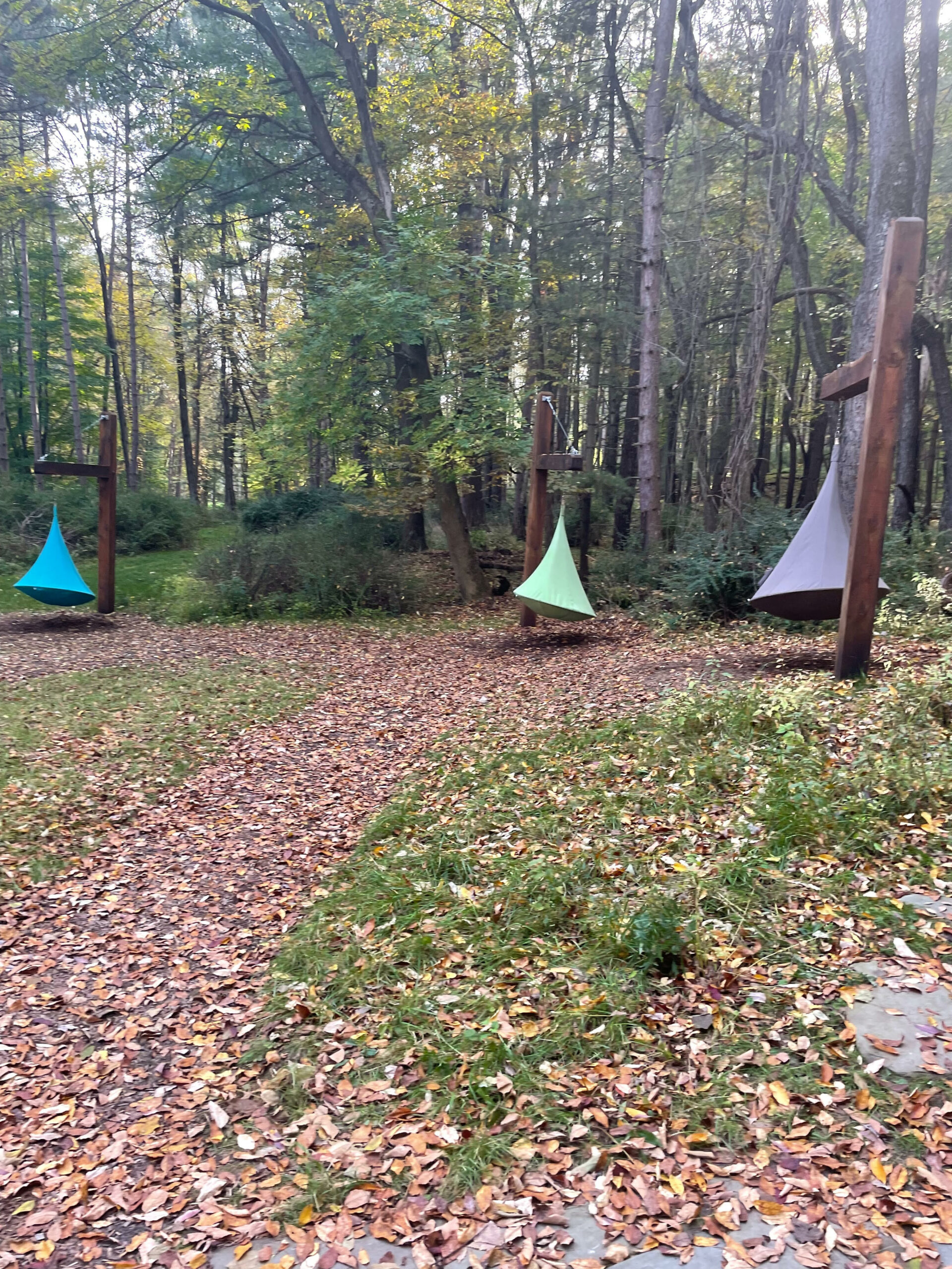 cuddle swings hanging from wooden posts in a forest