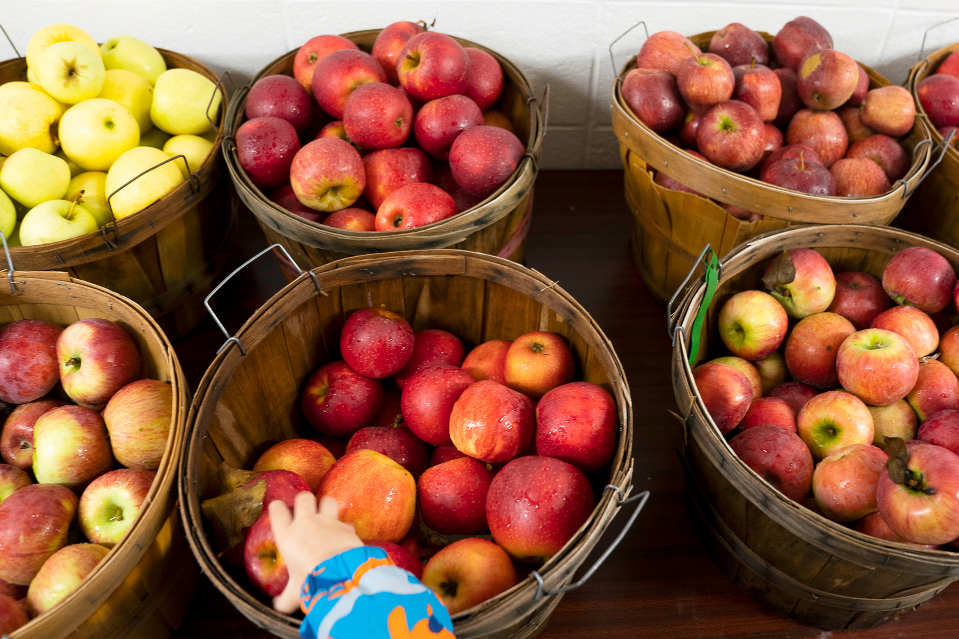 baskets of apples with a child's hand grabbing an apple out of one of the baskets