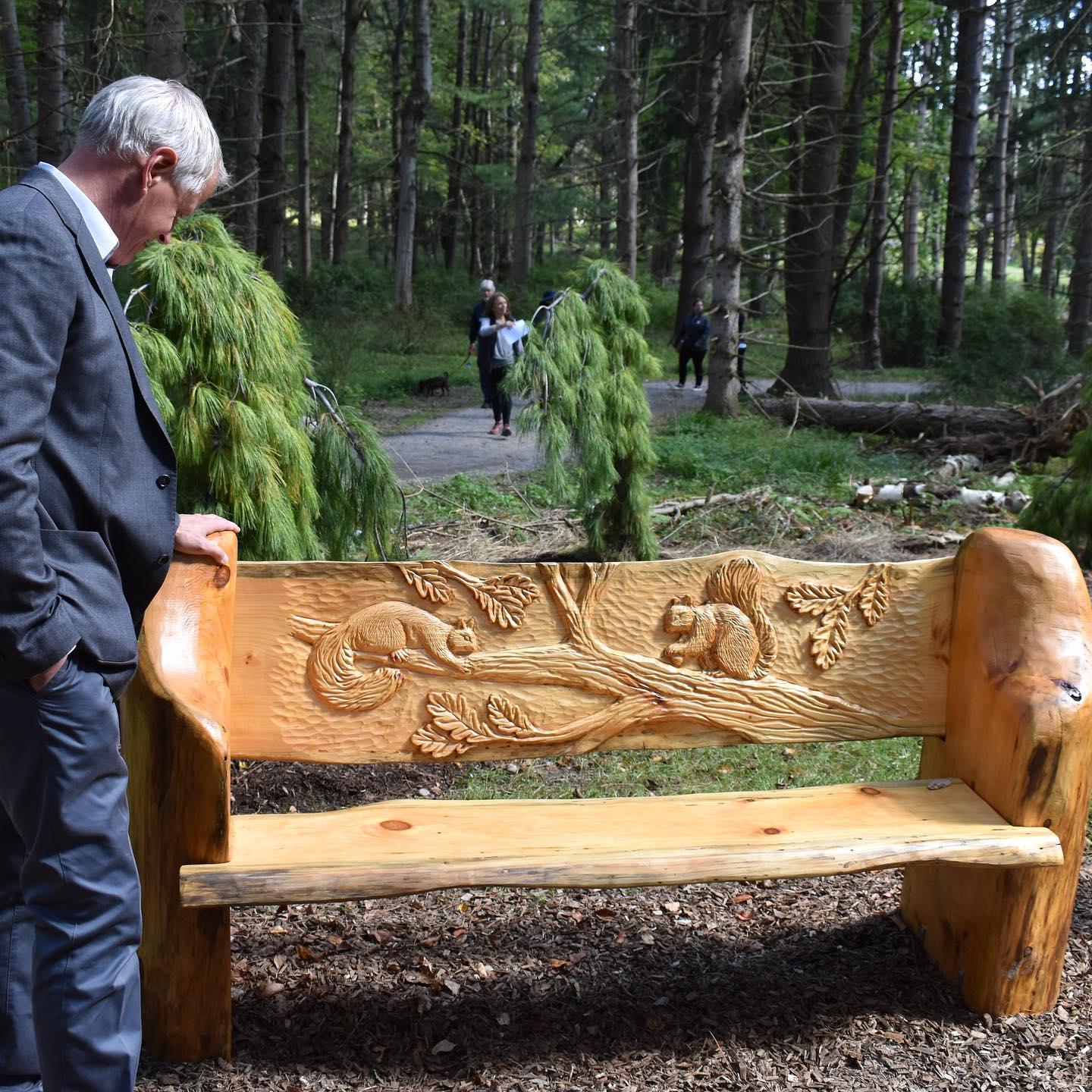 man looking at wood carved bench in the forest